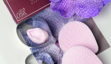 Vanda set za orhidejo