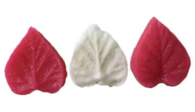 Silikonski kalup veiner list 5,5x5,5cm